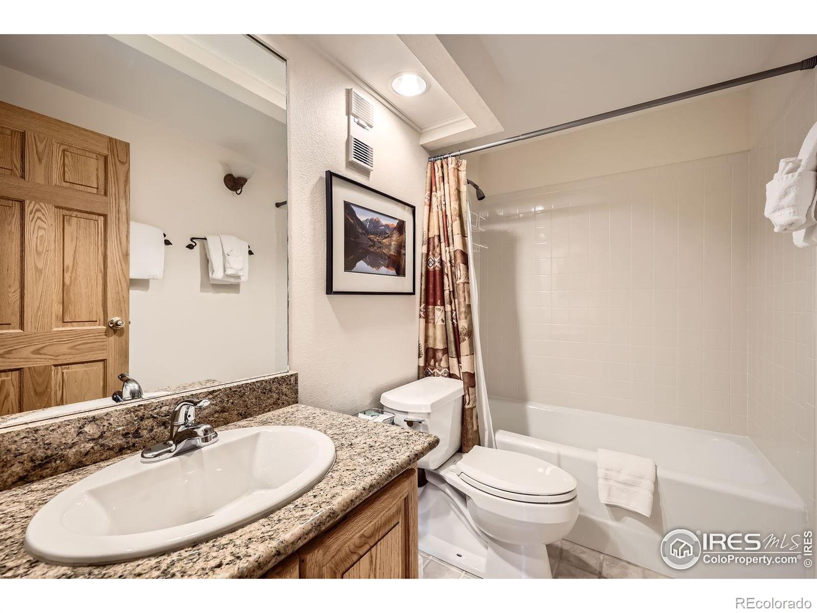 MLS Image #10 for 755  columbine road,breckenridge, Colorado