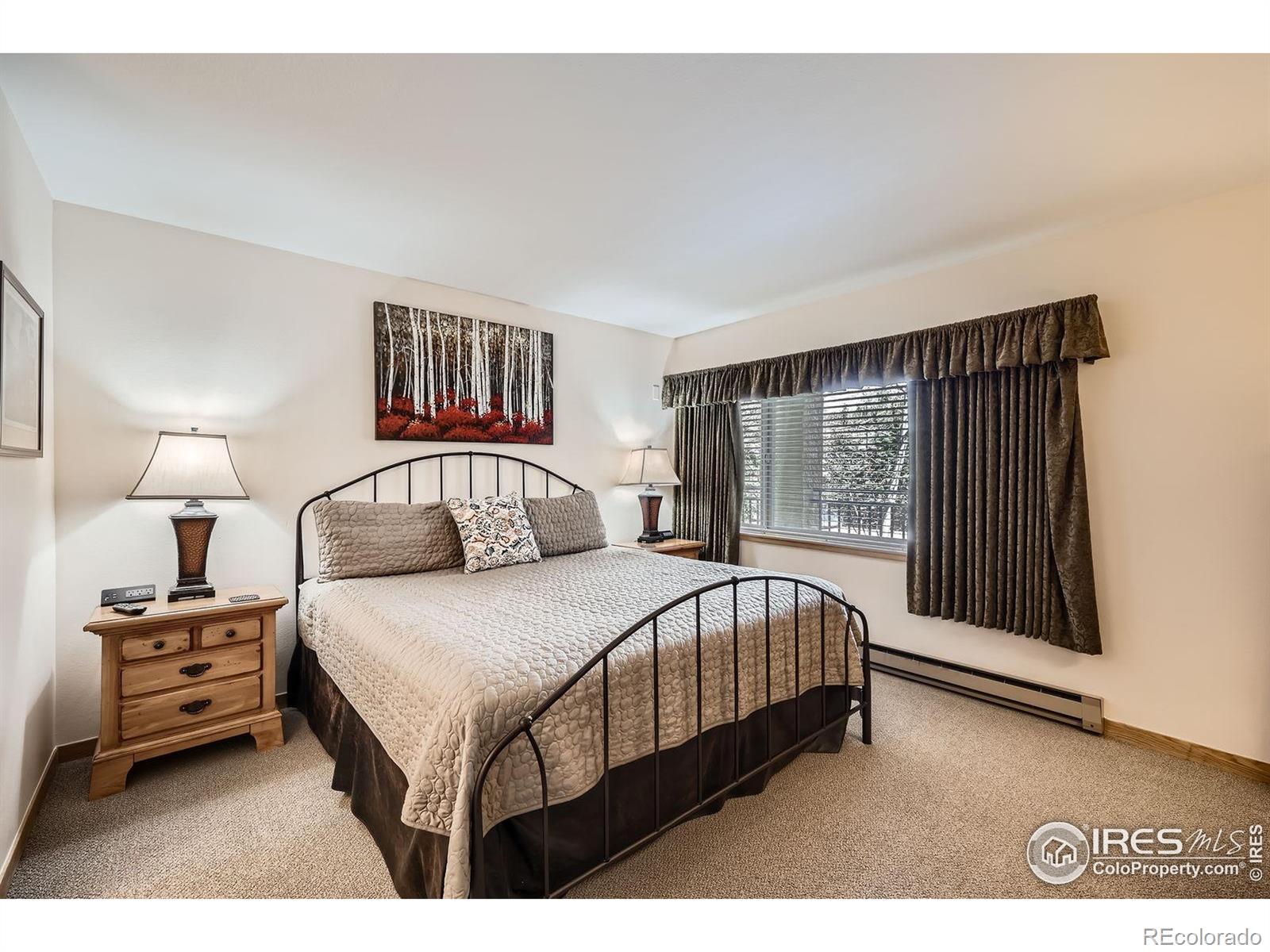 MLS Image #11 for 755  columbine road,breckenridge, Colorado