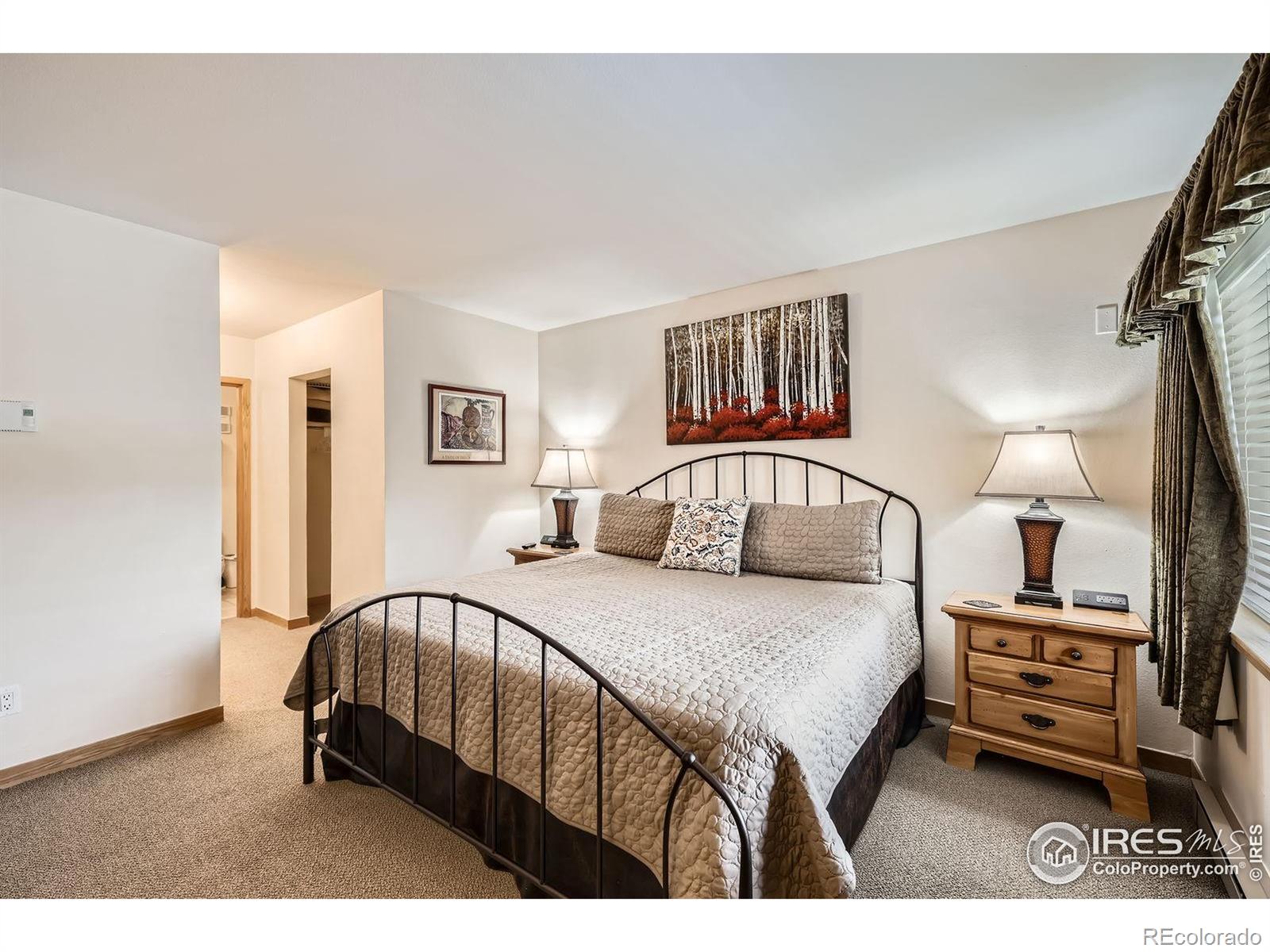 MLS Image #12 for 755  columbine road,breckenridge, Colorado