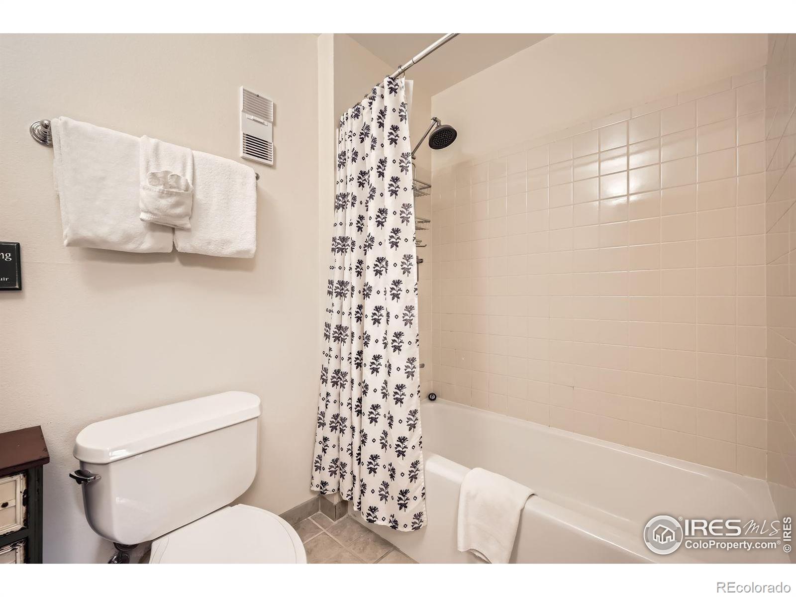 MLS Image #14 for 755  columbine road,breckenridge, Colorado