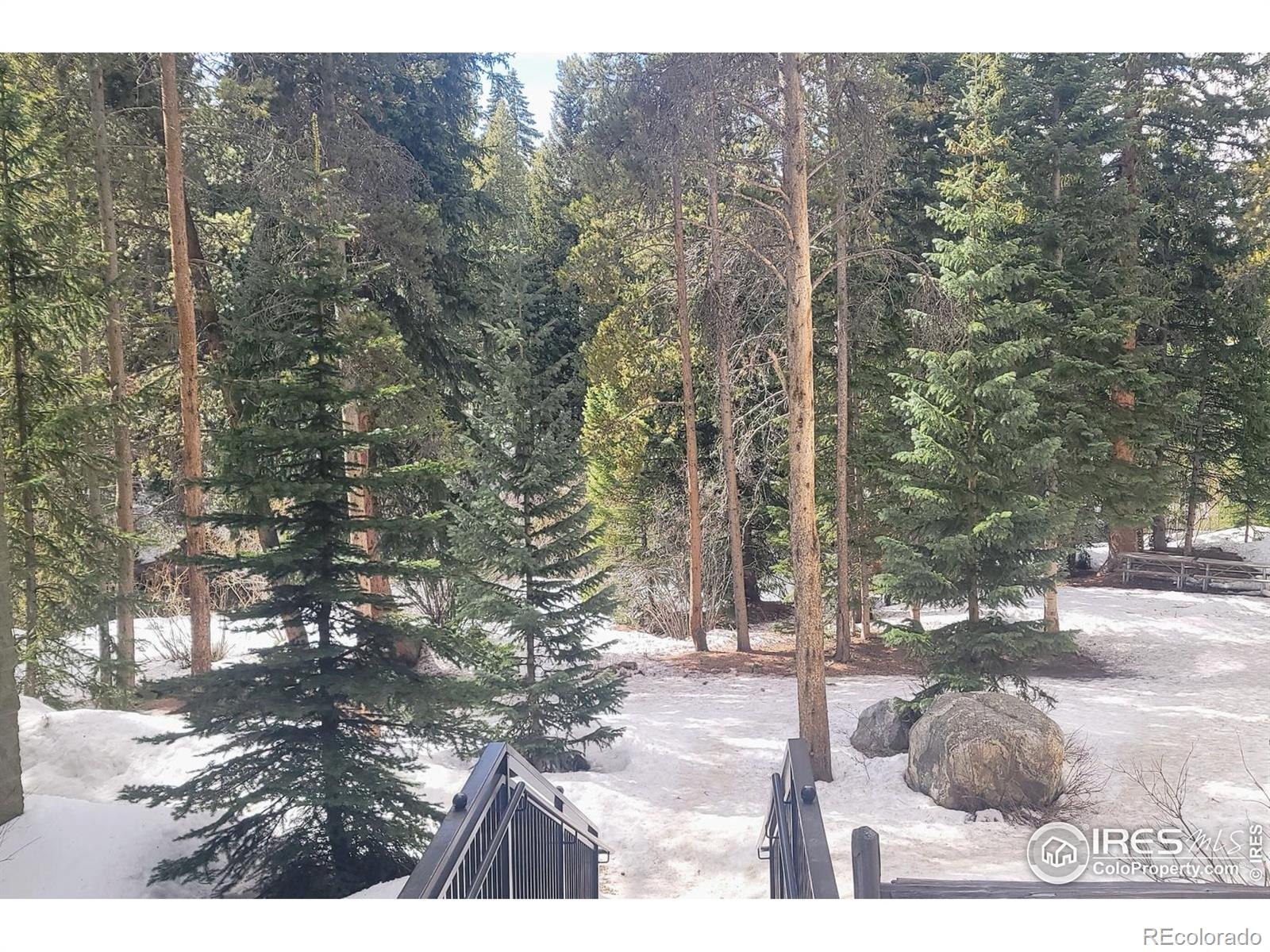 MLS Image #31 for 755  columbine road,breckenridge, Colorado