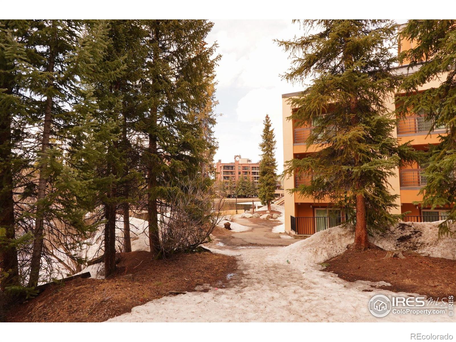 MLS Image #34 for 755  columbine road,breckenridge, Colorado