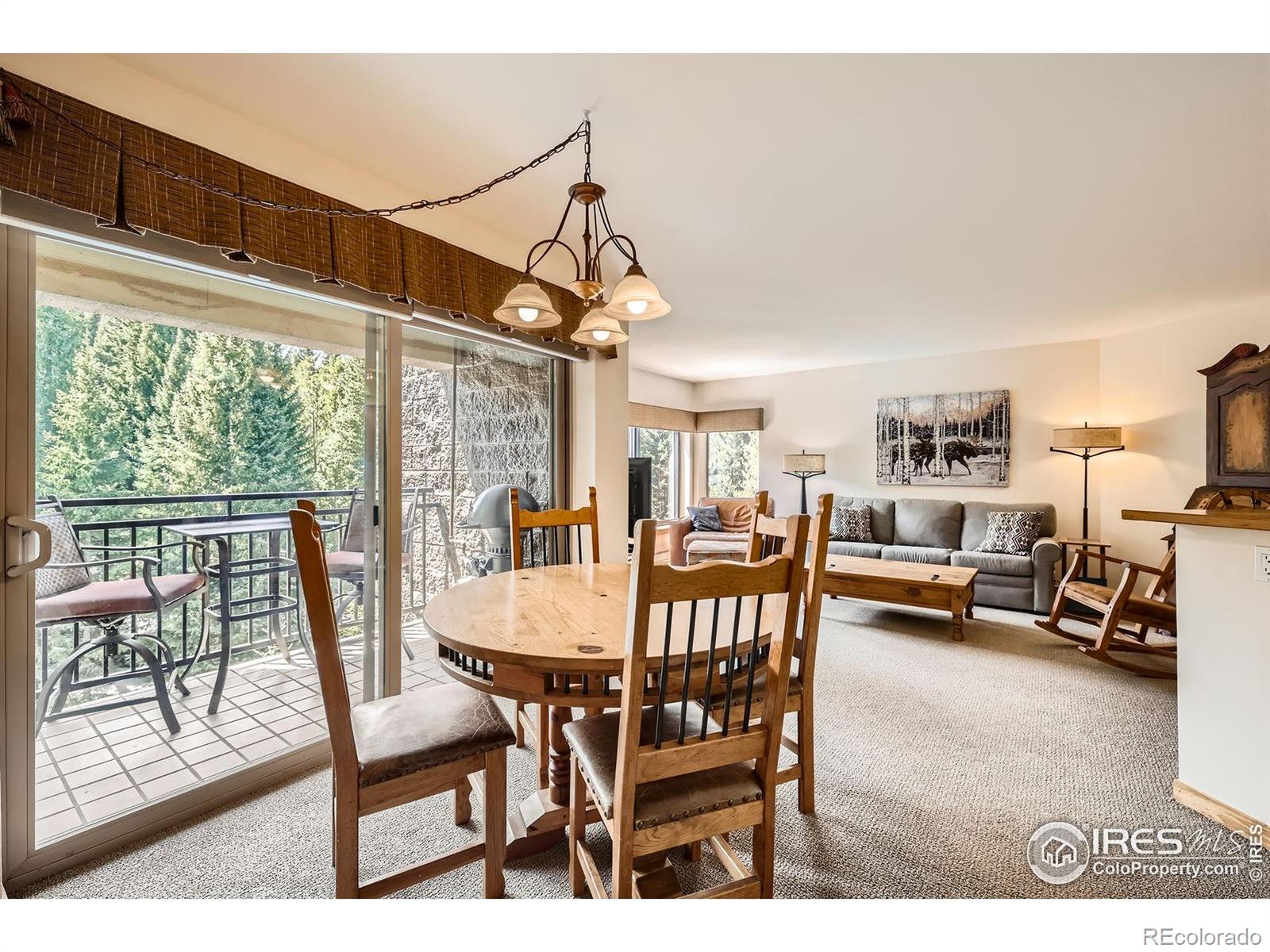 MLS Image #4 for 755  columbine road,breckenridge, Colorado