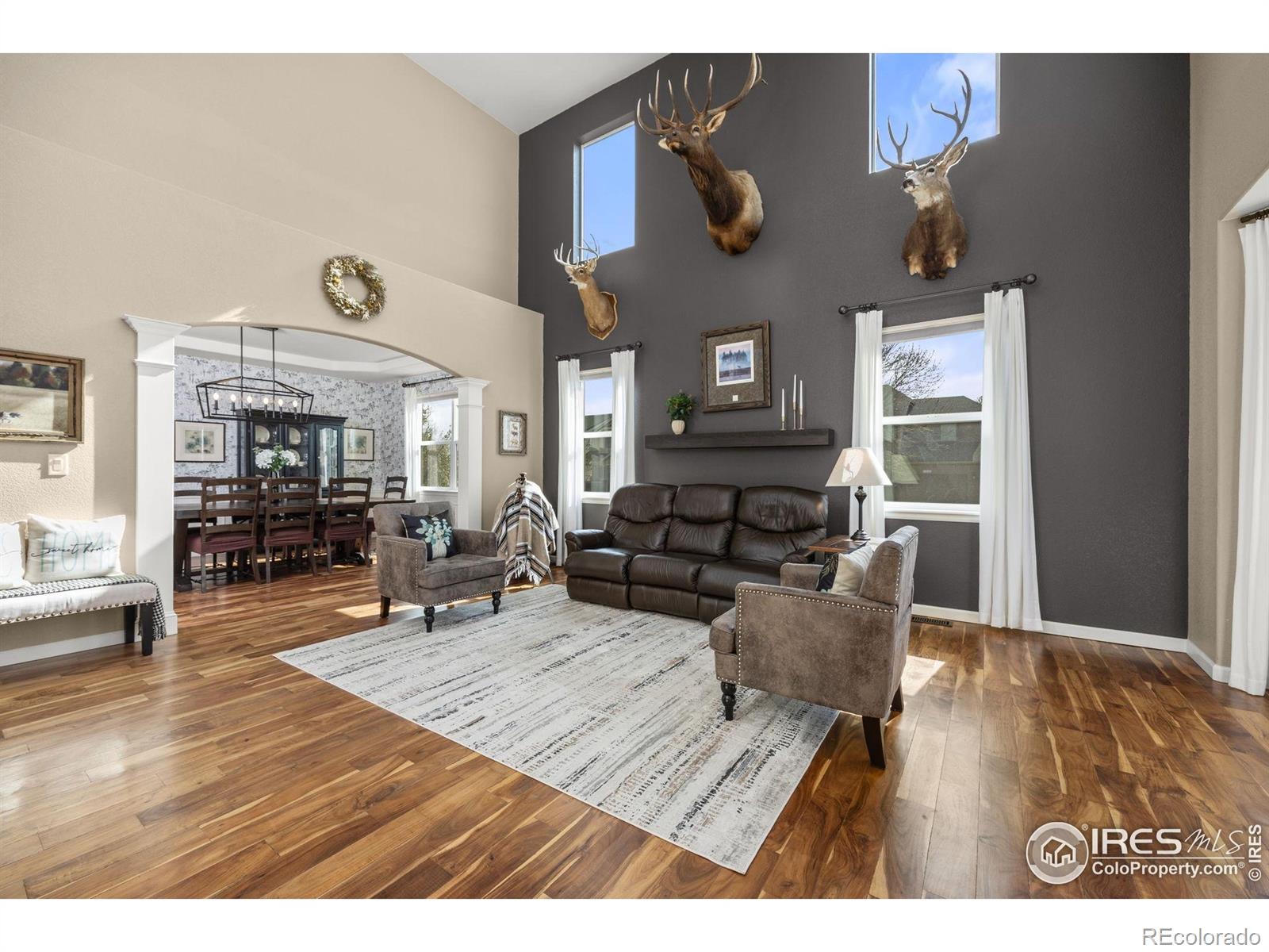 MLS Image #3 for 6190  gold dust road,timnath, Colorado