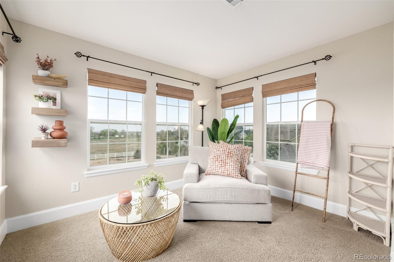 MLS Image #21 for 3225  rinn valley drive,longmont, Colorado
