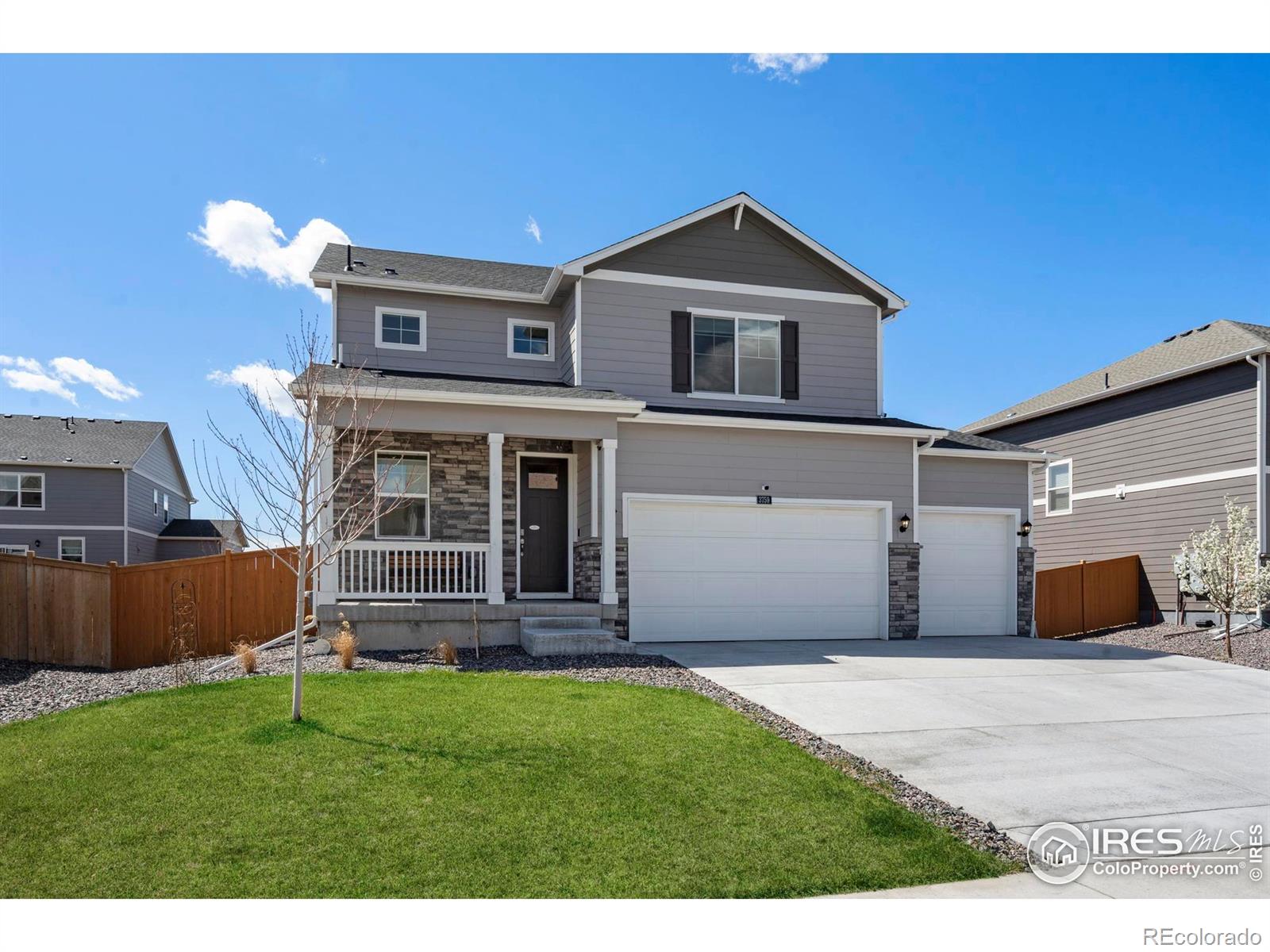 MLS Image #3 for 3759  catmint street,wellington, Colorado