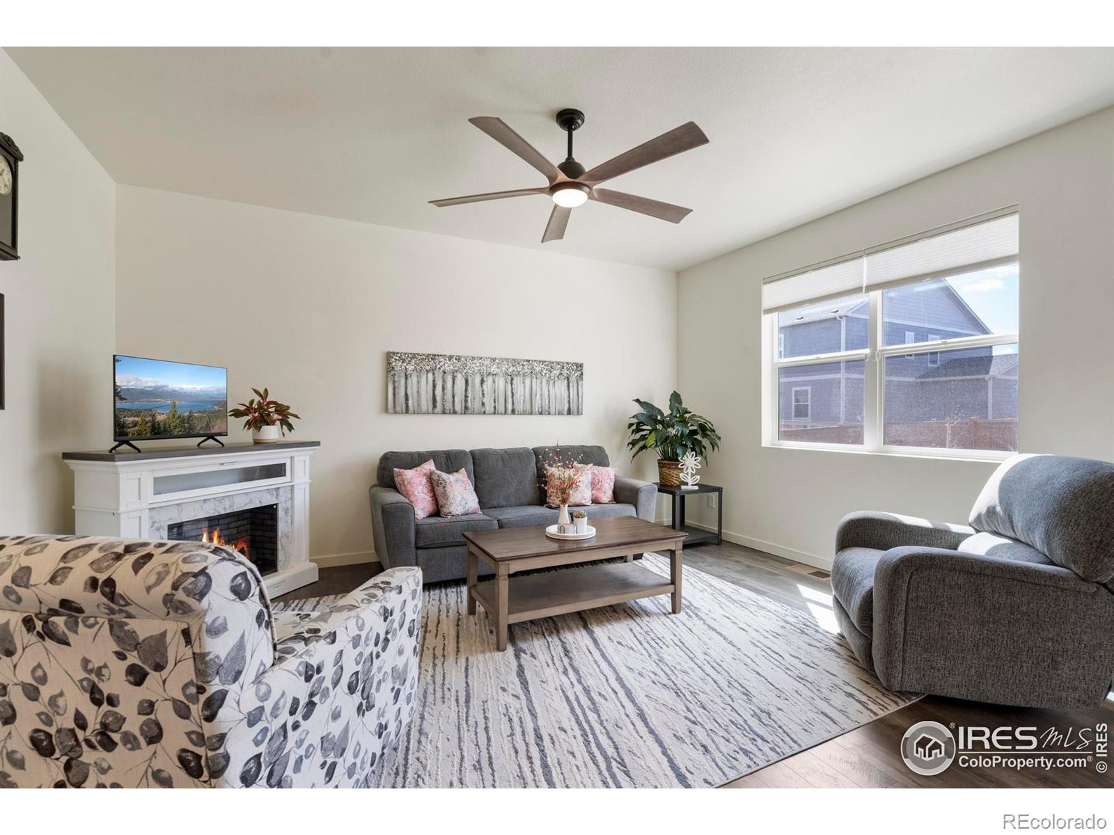 MLS Image #6 for 3759  catmint street,wellington, Colorado
