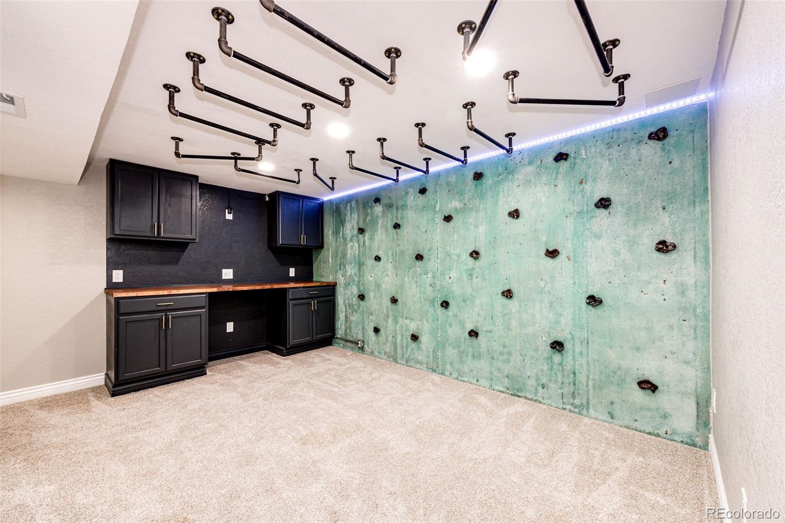 MLS Image #20 for 21743  farmingdale court,parker, Colorado