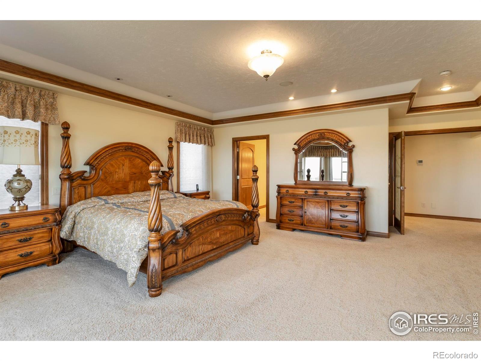 MLS Image #25 for 39828  hilltop circle,severance, Colorado