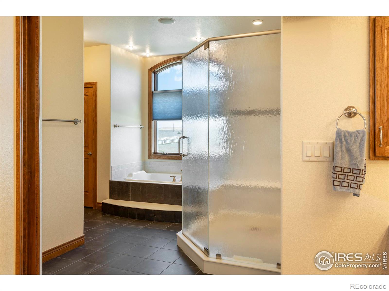 MLS Image #31 for 39828  hilltop circle,severance, Colorado