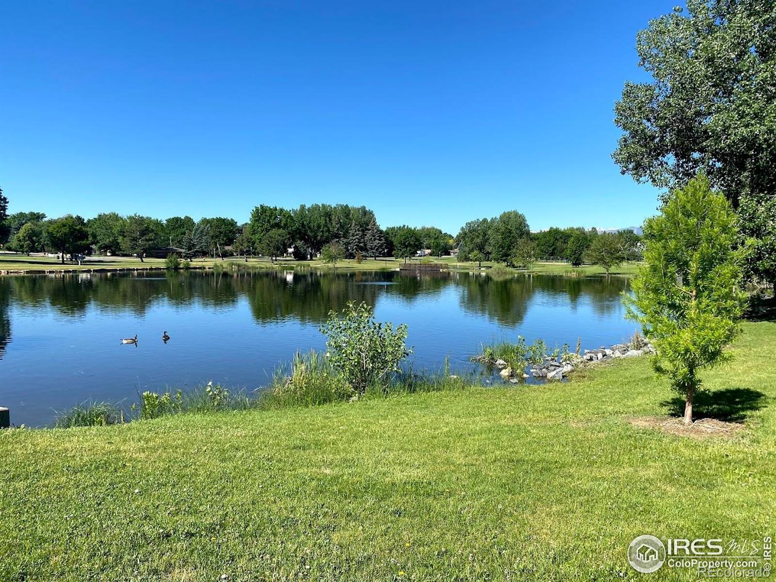 MLS Image #18 for 1148  gay street,longmont, Colorado
