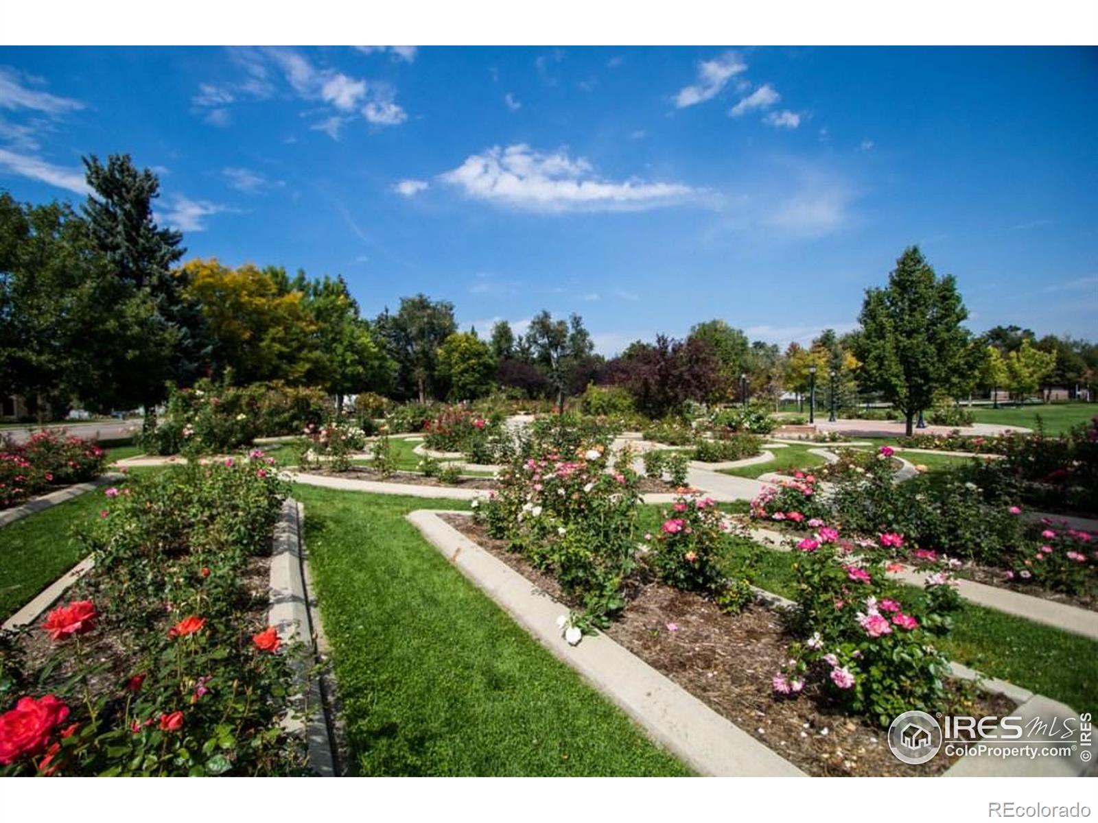 MLS Image #21 for 1148  gay street,longmont, Colorado