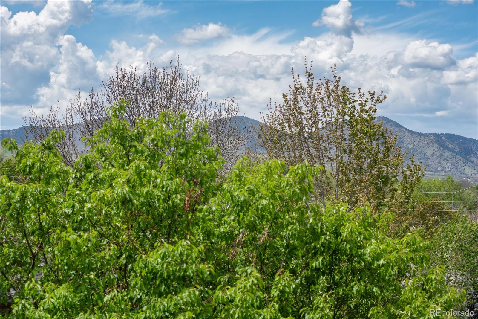 MLS Image #37 for 11460 w tanforan circle,littleton, Colorado