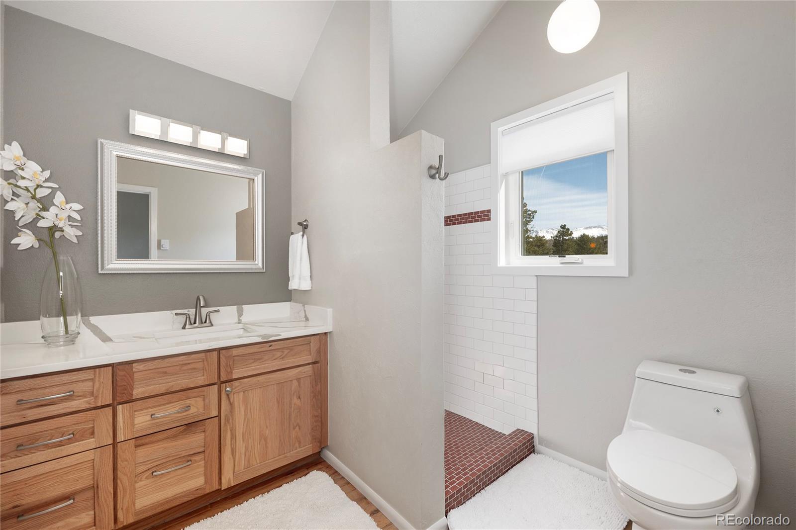 MLS Image #11 for 821  wolverine ,fraser, Colorado