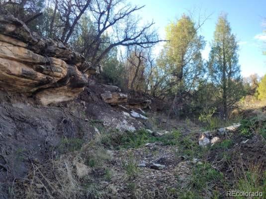 MLS Image #20 for 23855  horsefly road,montrose, Colorado