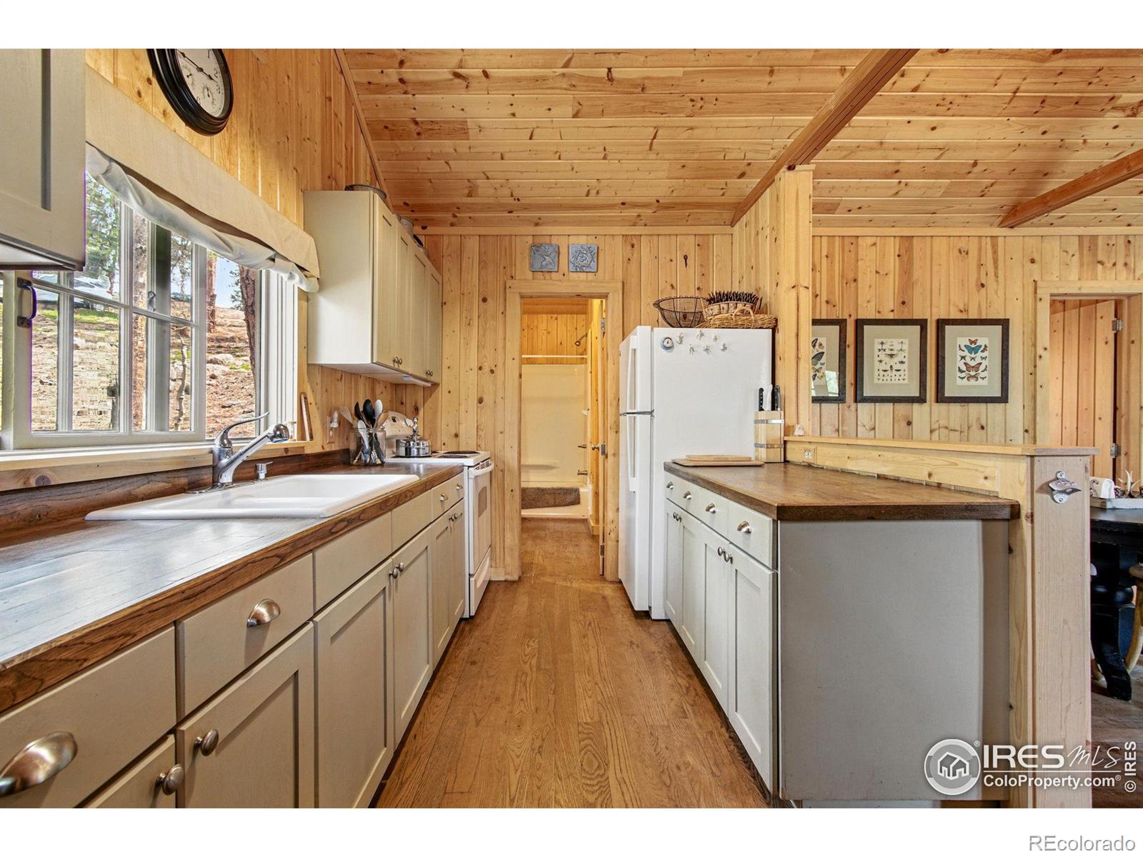 MLS Image #18 for 3497  coal creek canyon drive,nederland, Colorado