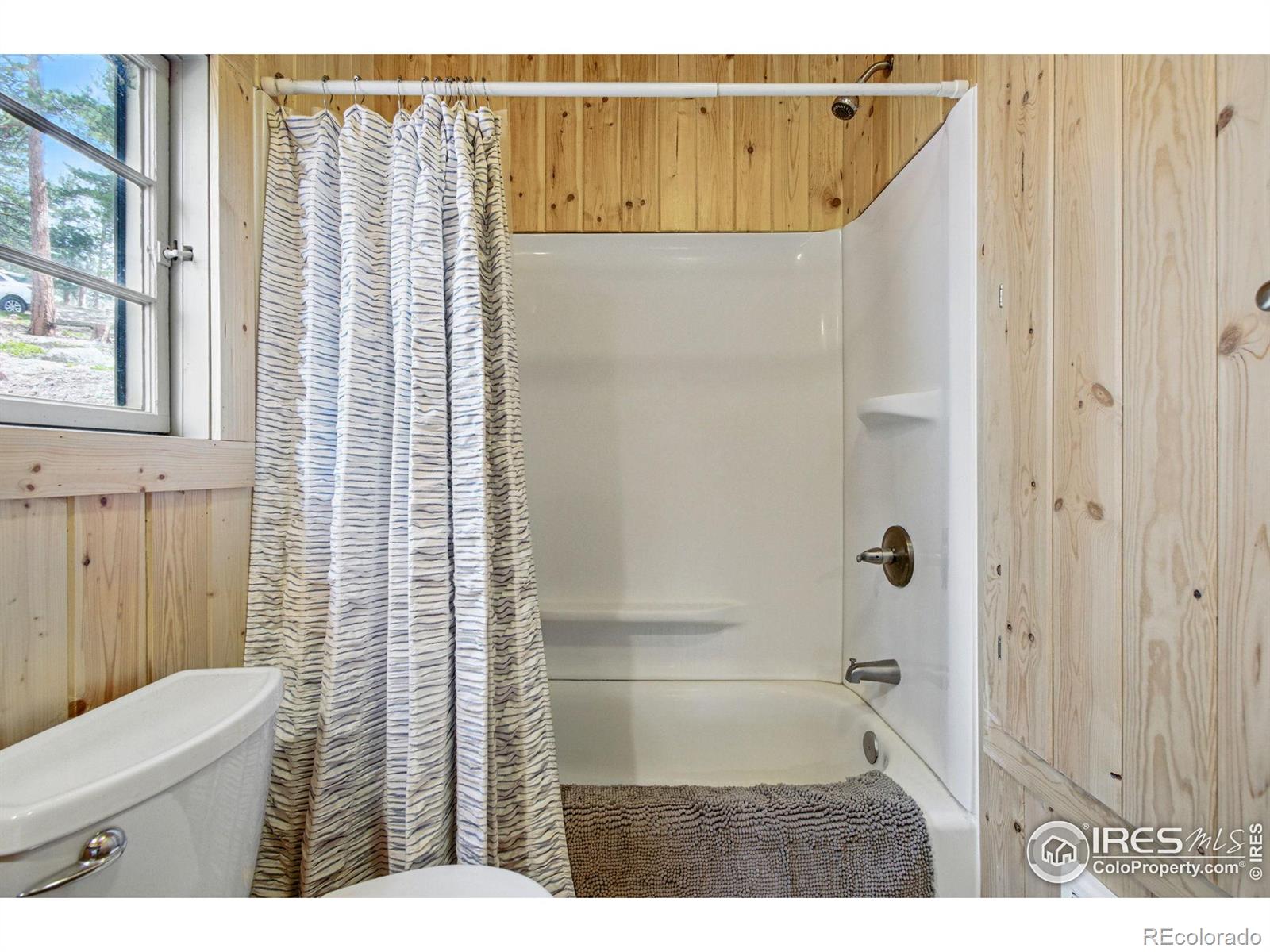 MLS Image #34 for 3497  coal creek canyon drive,nederland, Colorado