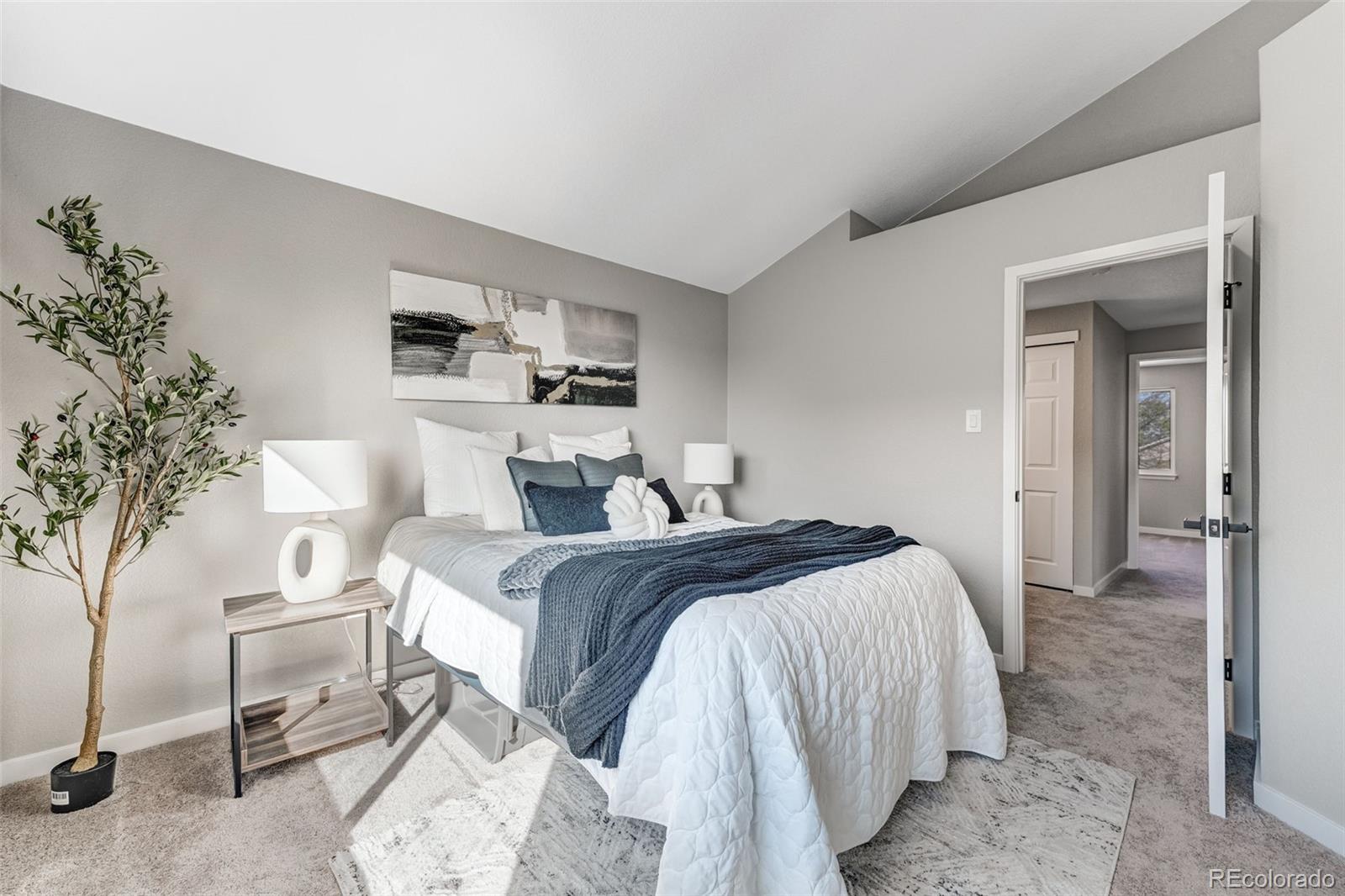 MLS Image #15 for 12018  hudson court,thornton, Colorado