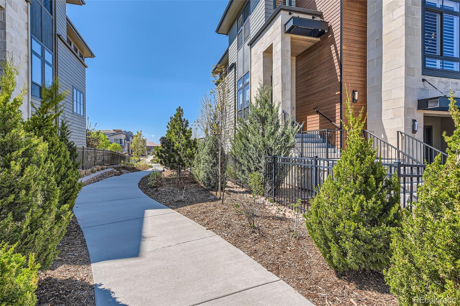 MLS Image #49 for 10119  bellwether lane,lone tree, Colorado