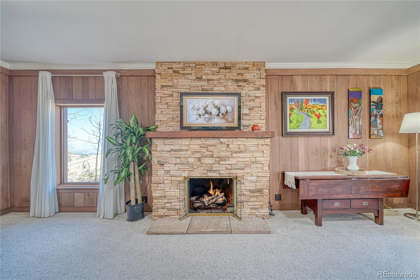 MLS Image #12 for 224 w warren avenue,cripple creek, Colorado