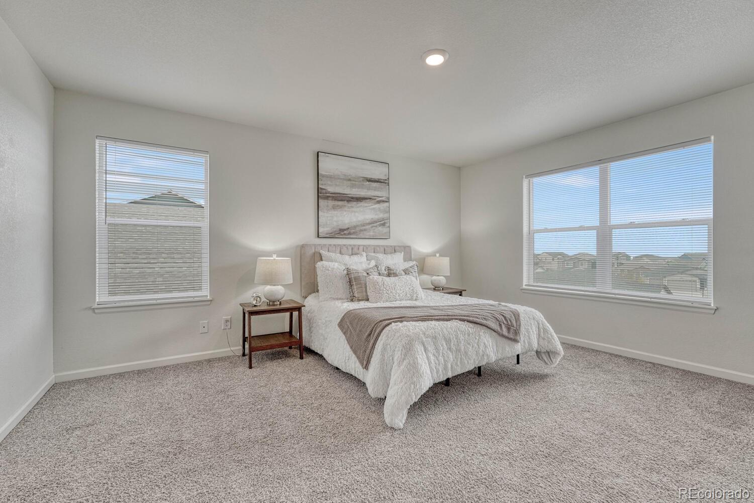 MLS Image #14 for 5085  janga drive,colorado springs, Colorado