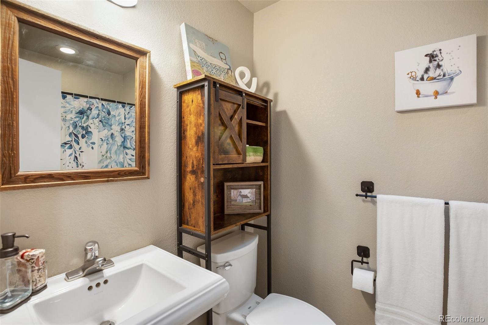 MLS Image #17 for 82  bradshaw road,florissant, Colorado
