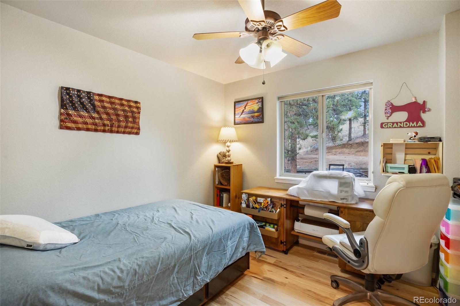 MLS Image #18 for 82  bradshaw road,florissant, Colorado