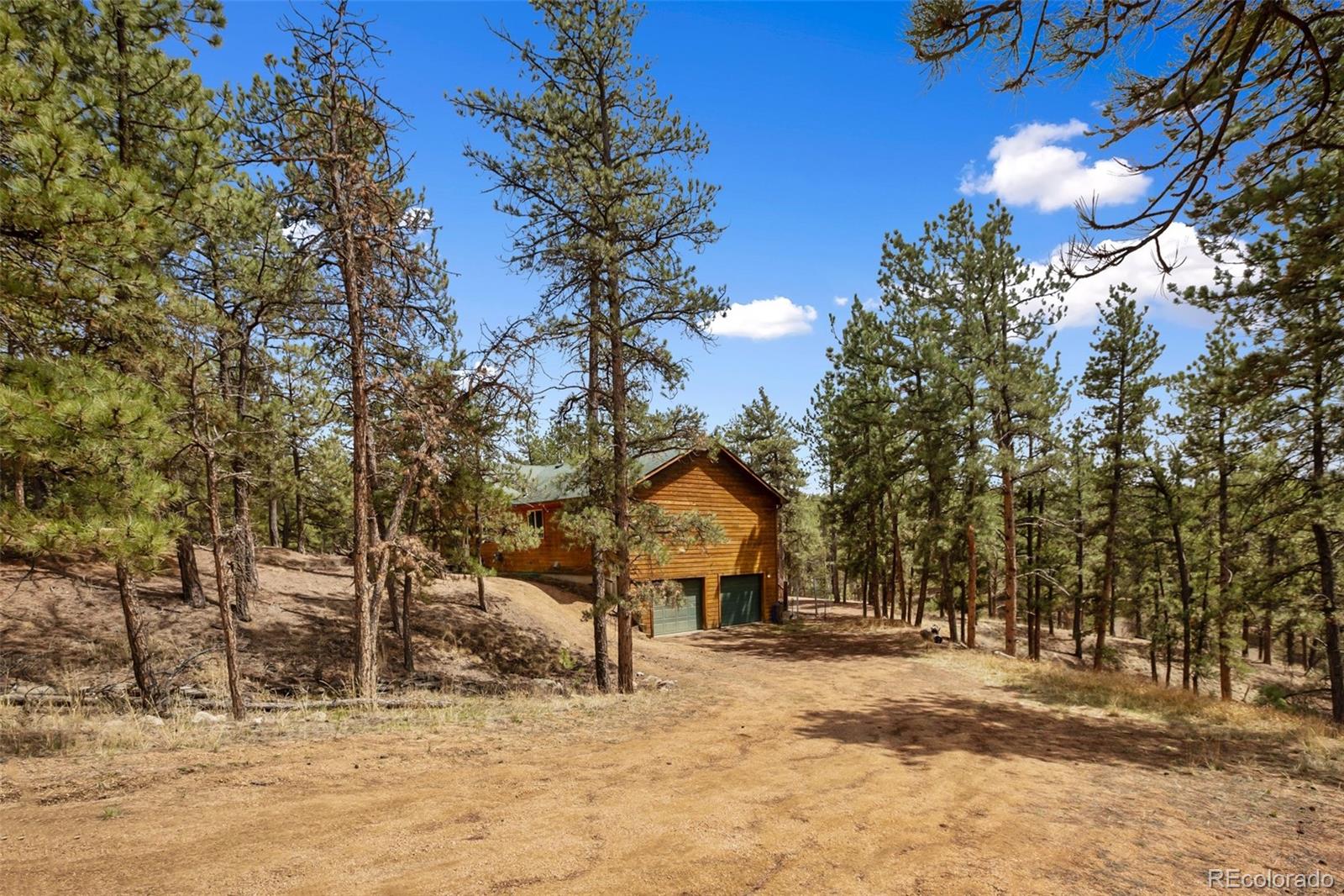 MLS Image #2 for 82  bradshaw road,florissant, Colorado