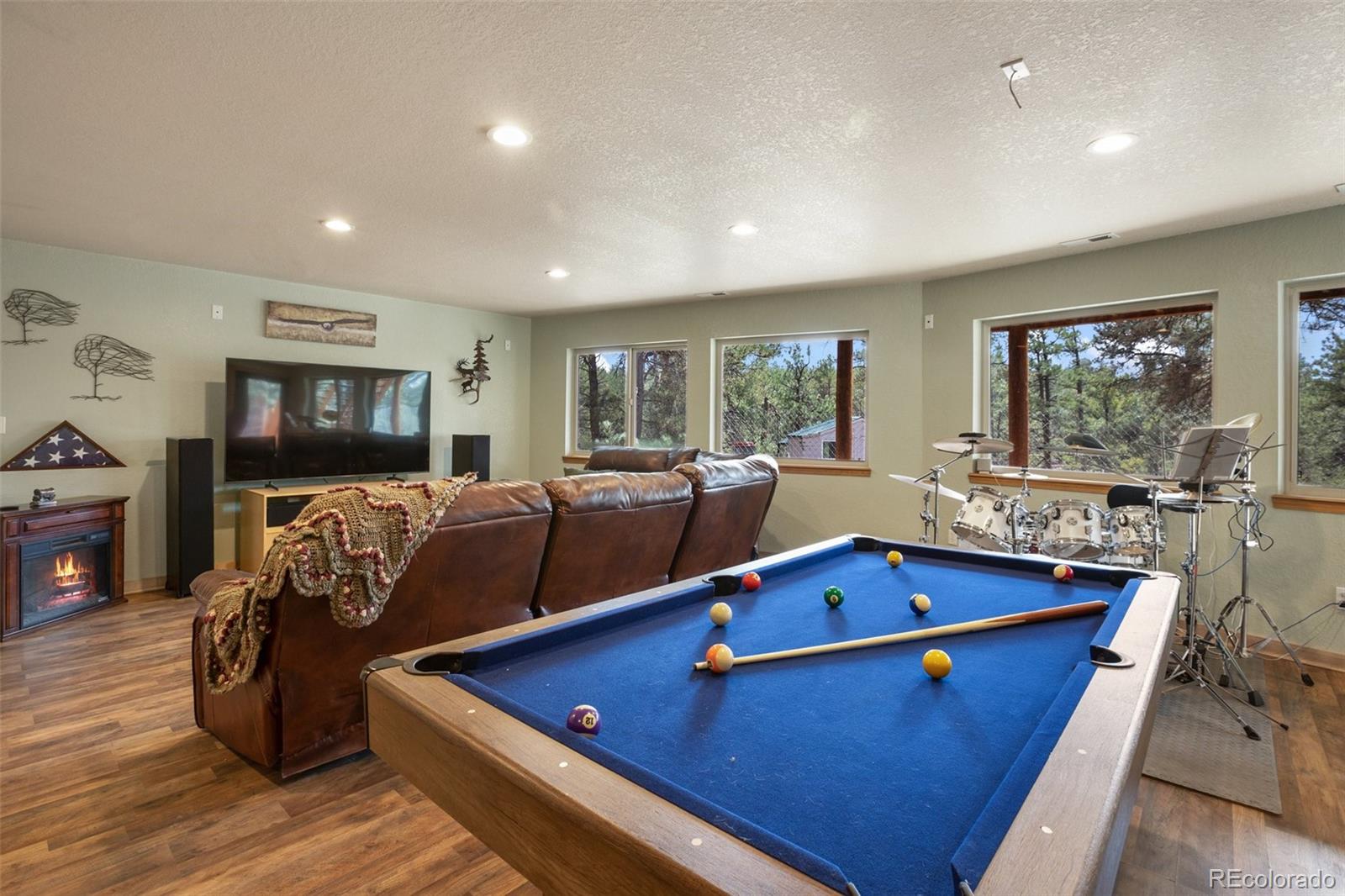 MLS Image #21 for 82  bradshaw road,florissant, Colorado