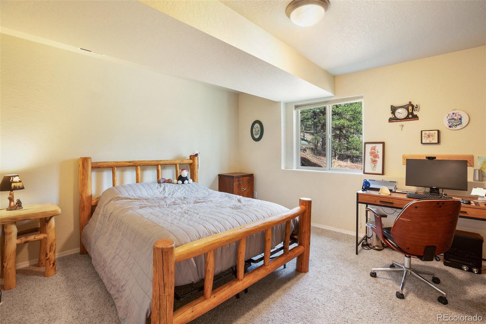 MLS Image #25 for 82  bradshaw road,florissant, Colorado