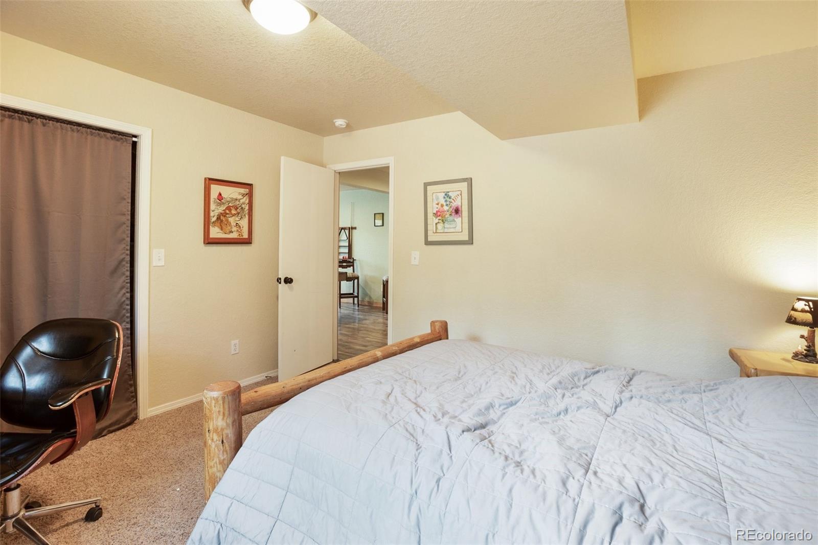 MLS Image #26 for 82  bradshaw road,florissant, Colorado