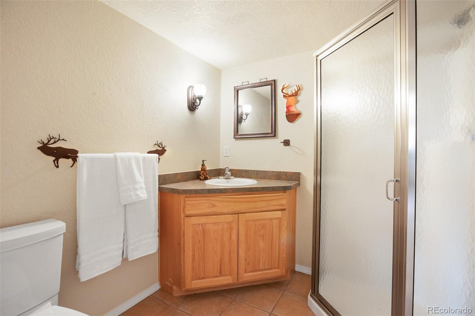 MLS Image #27 for 82  bradshaw road,florissant, Colorado