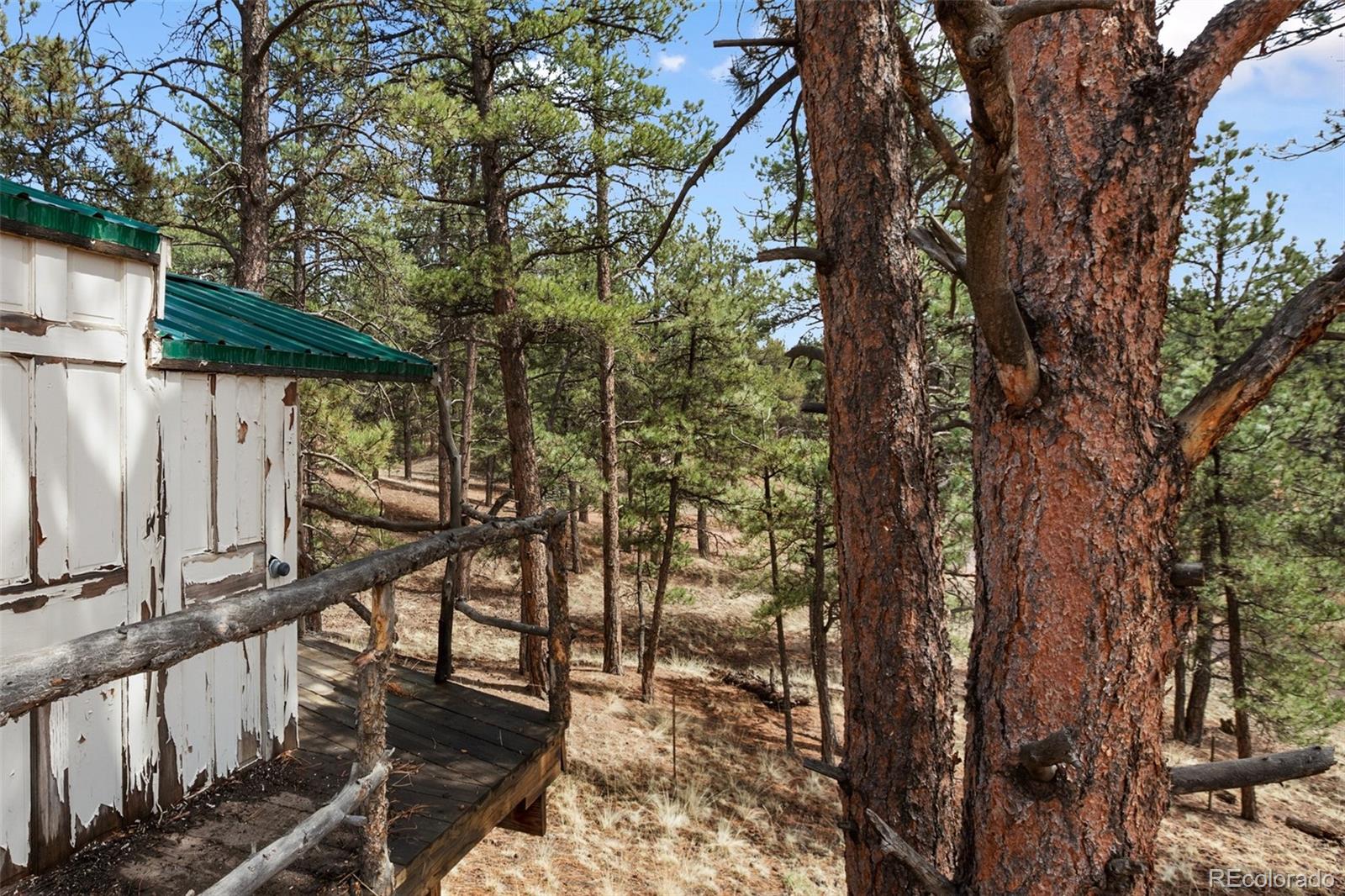 MLS Image #29 for 82  bradshaw road,florissant, Colorado