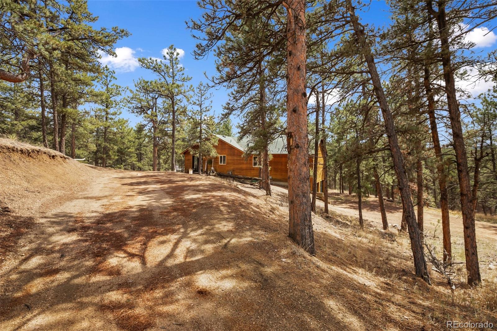 MLS Image #31 for 82  bradshaw road,florissant, Colorado