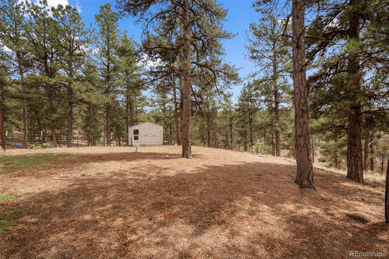 MLS Image #33 for 82  bradshaw road,florissant, Colorado
