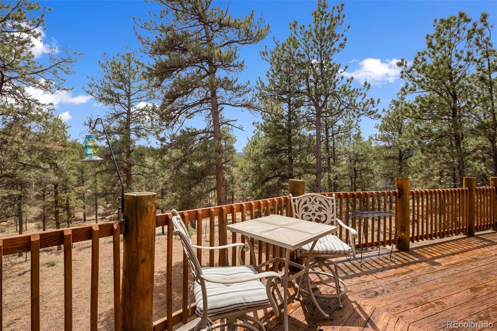 MLS Image #34 for 82  bradshaw road,florissant, Colorado
