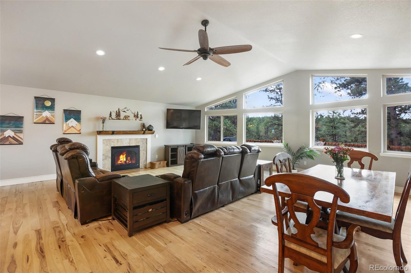 MLS Image #7 for 82  bradshaw road,florissant, Colorado