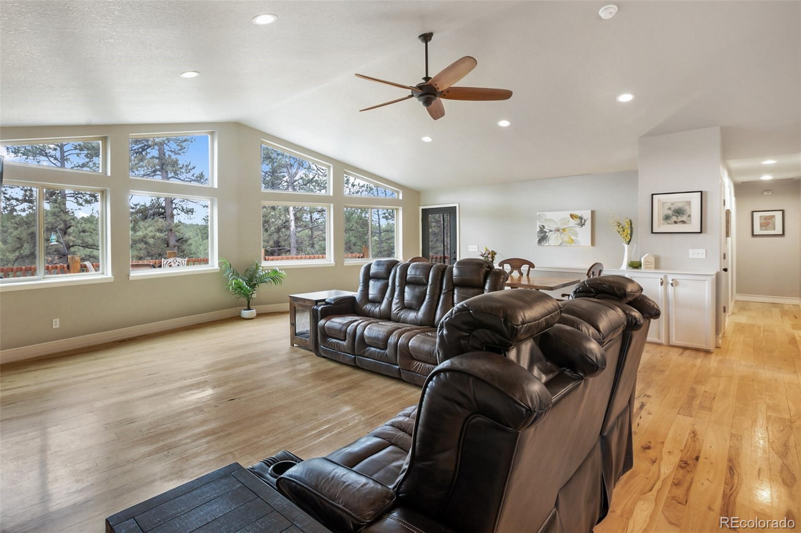 MLS Image #8 for 82  bradshaw road,florissant, Colorado