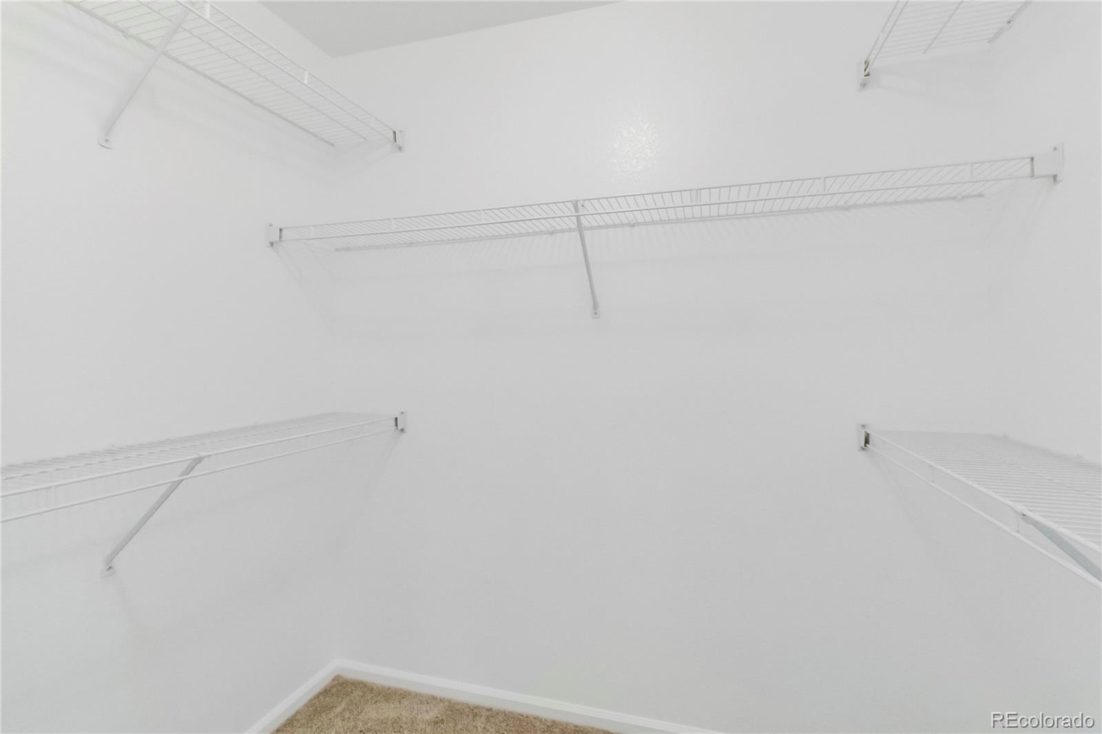 MLS Image #19 for 1526  braewood avenue,littleton, Colorado