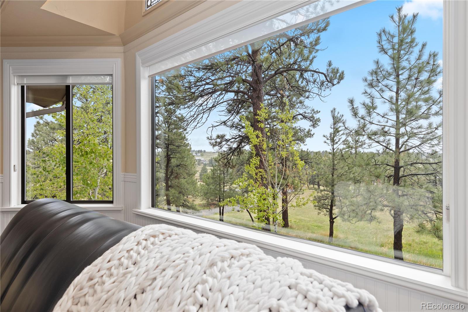 MLS Image #14 for 8361  piney creek road,parker, Colorado