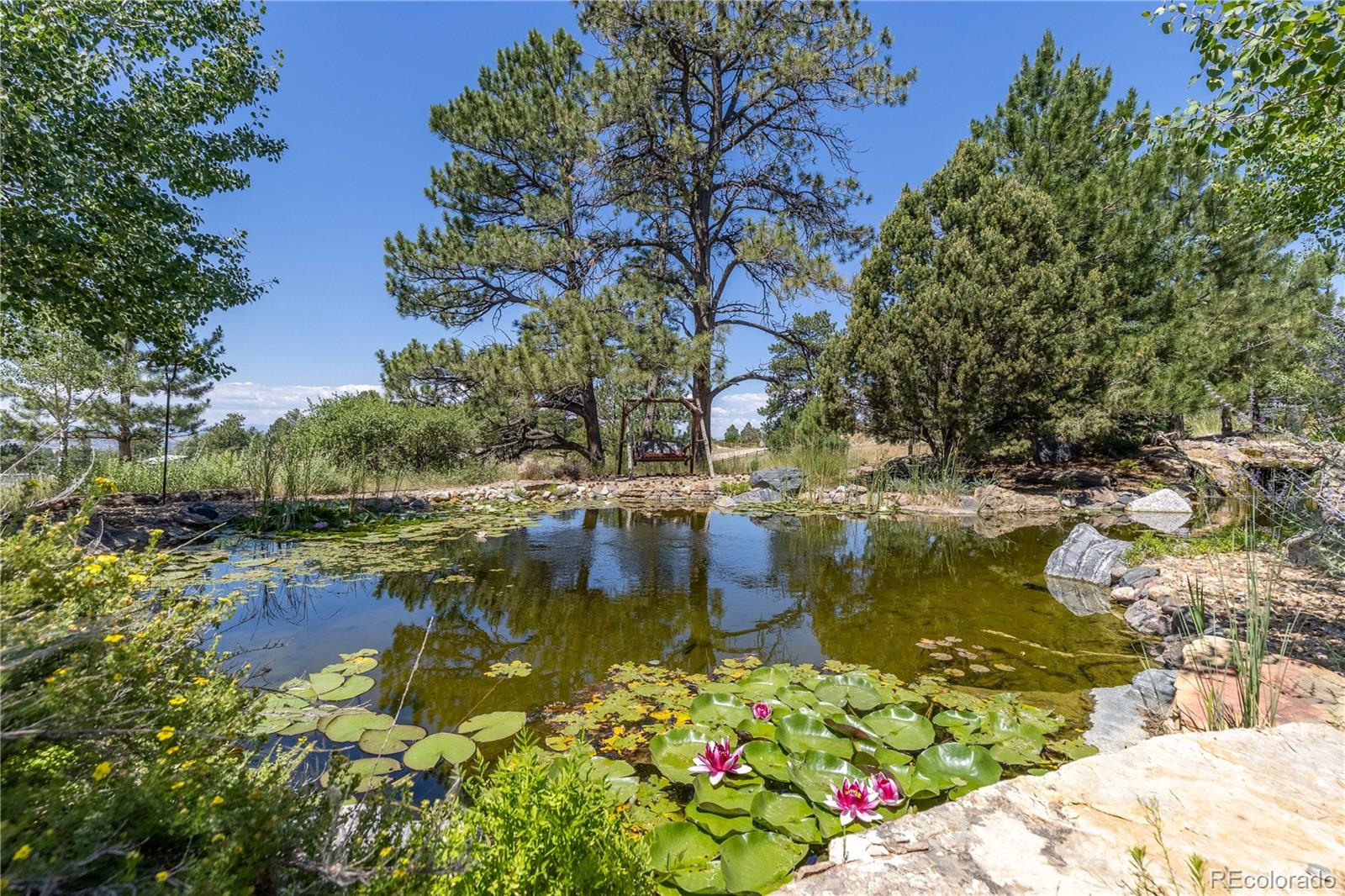 MLS Image #42 for 8361  piney creek road,parker, Colorado