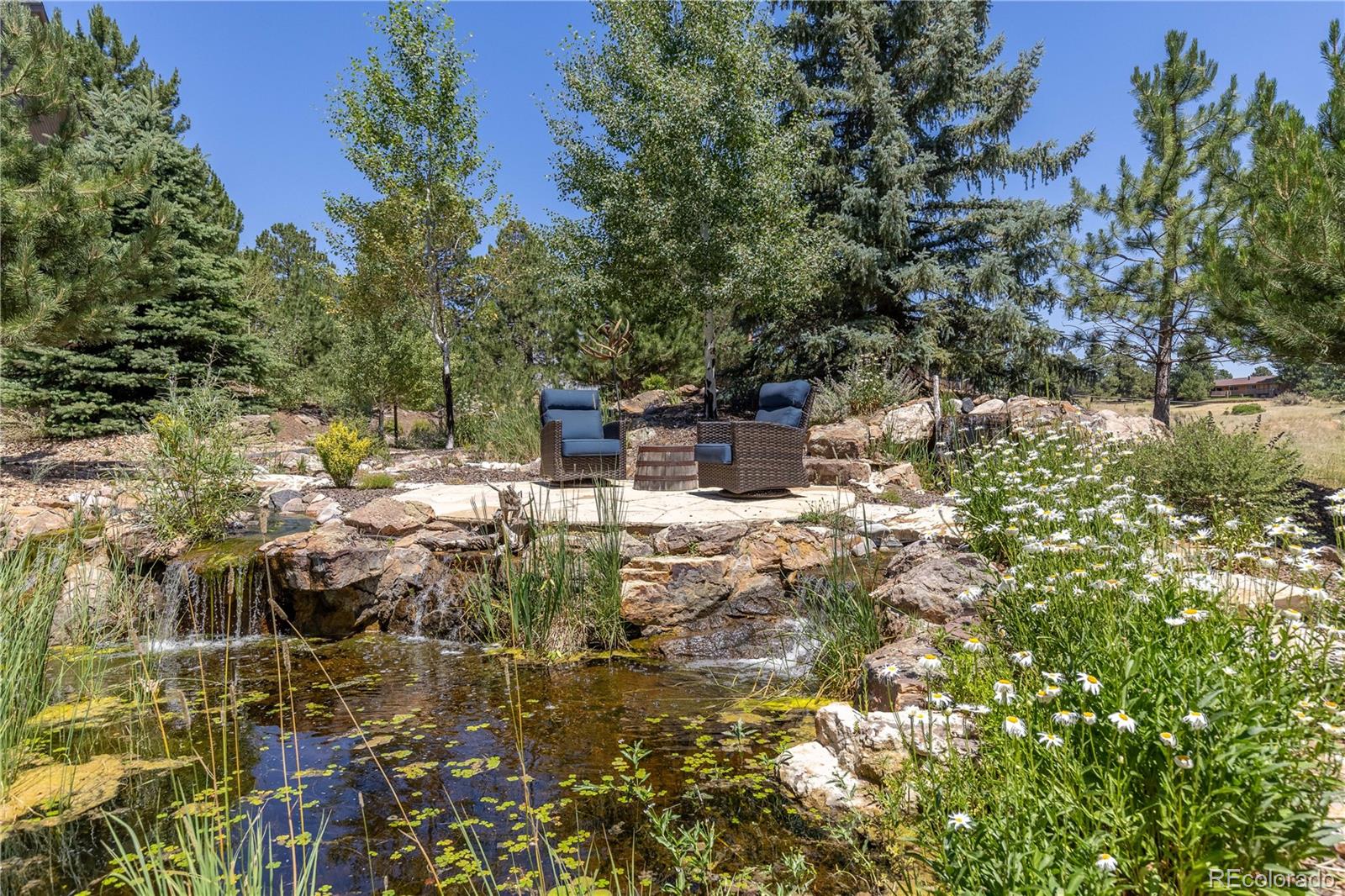 MLS Image #5 for 8361  piney creek road,parker, Colorado
