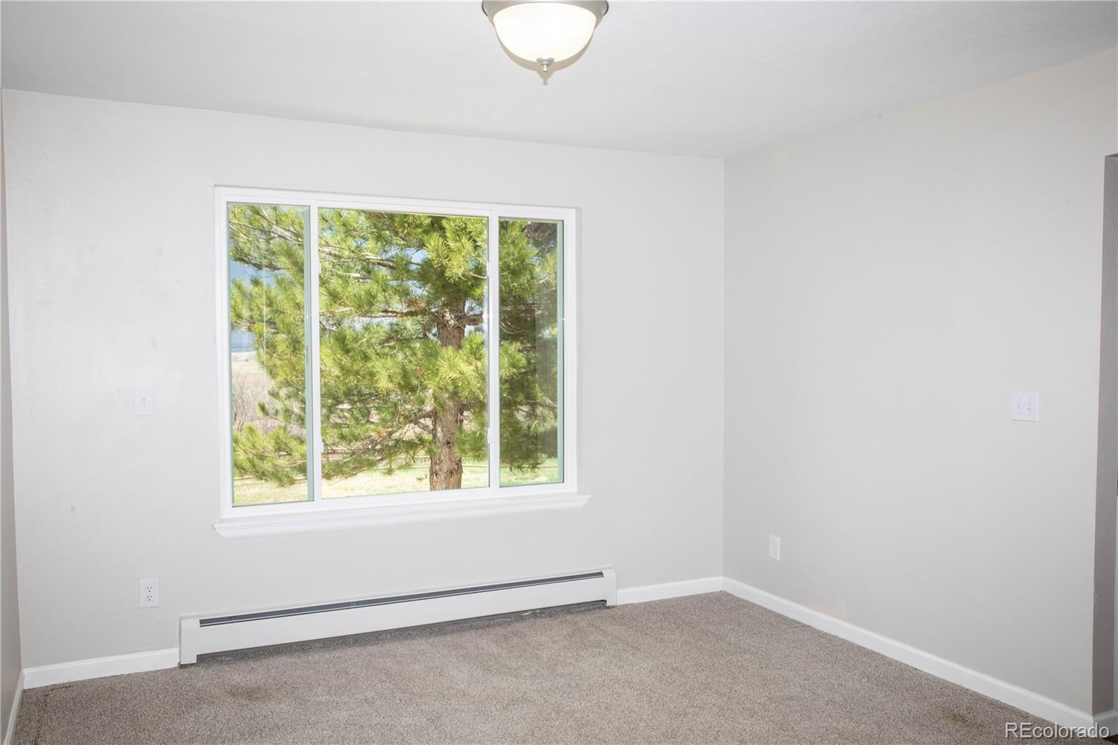 MLS Image #9 for 10554  tanglewood road,franktown, Colorado