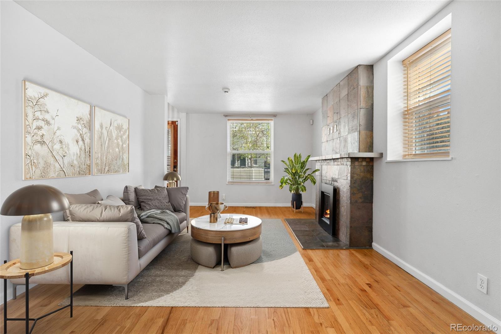 MLS Image #3 for 1914 e 16th avenue,denver, Colorado