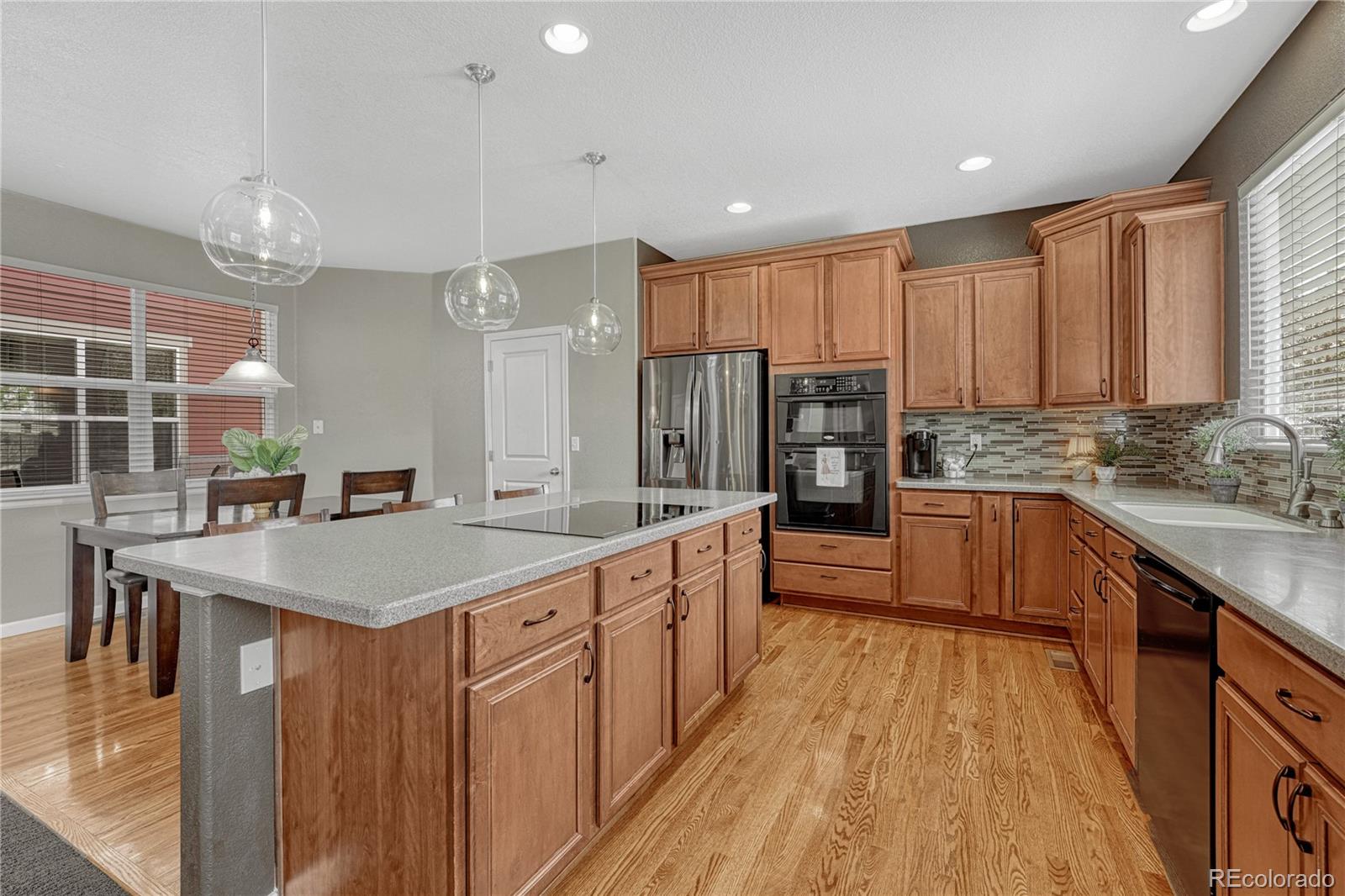 MLS Image #10 for 22965  allendale avenue,parker, Colorado