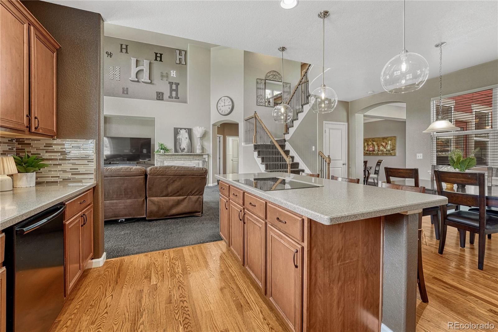 MLS Image #11 for 22965  allendale avenue,parker, Colorado