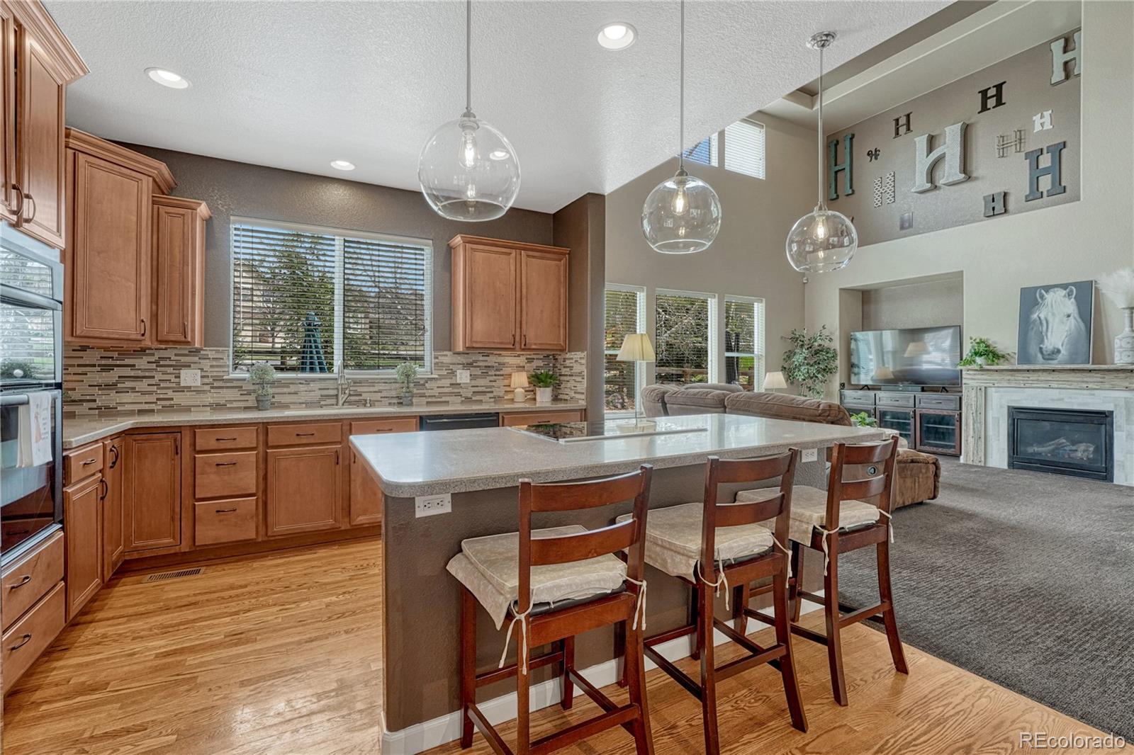 MLS Image #12 for 22965  allendale avenue,parker, Colorado