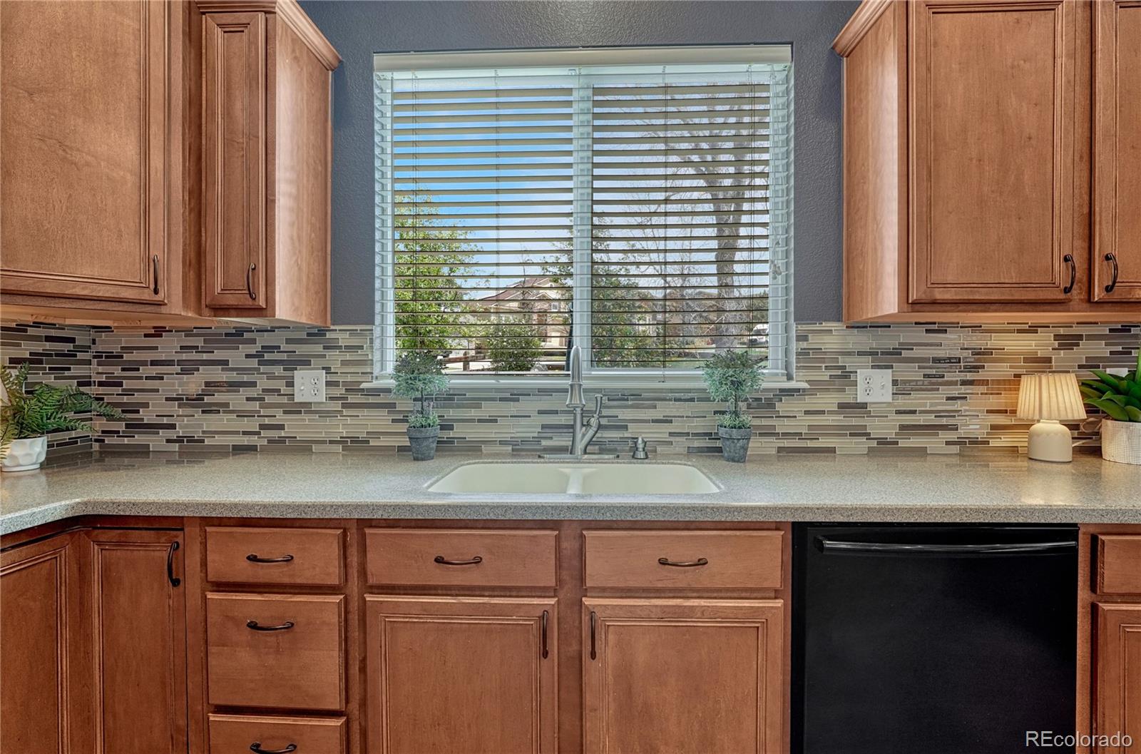 MLS Image #13 for 22965  allendale avenue,parker, Colorado