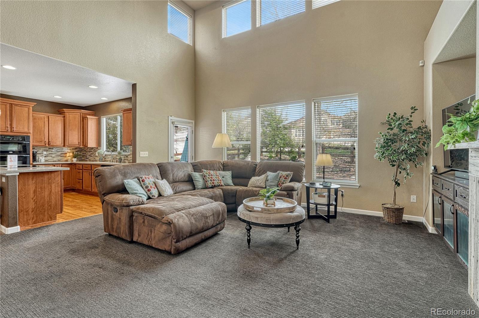 MLS Image #16 for 22965  allendale avenue,parker, Colorado