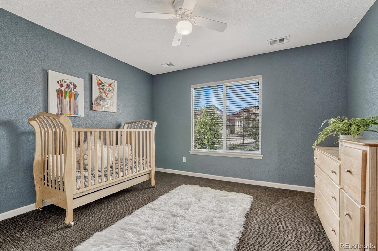 MLS Image #23 for 22965  allendale avenue,parker, Colorado